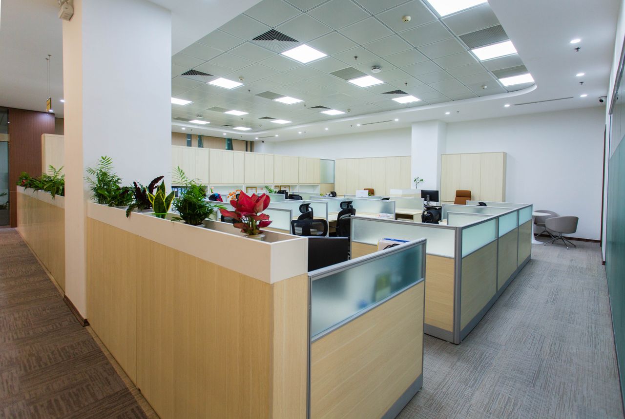 services-02 Spacious and bright open office area with cubicles, plants, and contemporary design.